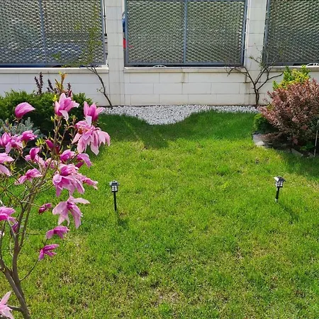 Villa Untold Residence Cluj-Napoca