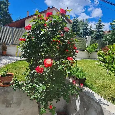 Untold Residence Kolozsvár